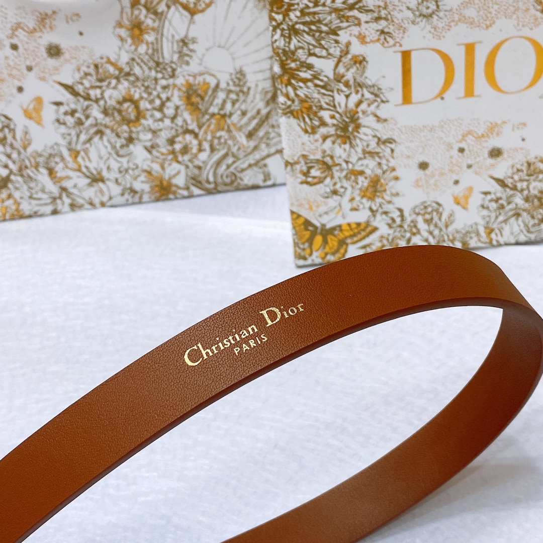 Bagsaaa D10r Montaigne CD Brown Belt 2cm