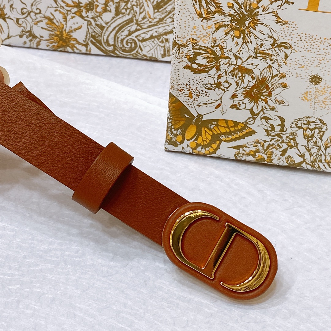 Bagsaaa D10r Montaigne CD Brown Belt 2cm