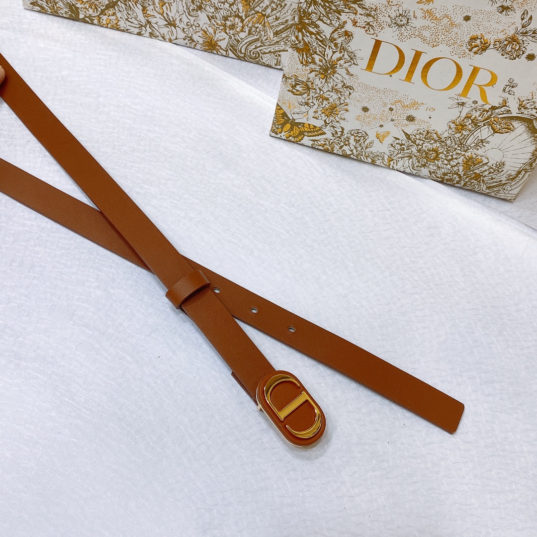 Bagsaaa D10r Montaigne CD Brown Belt 2cm
