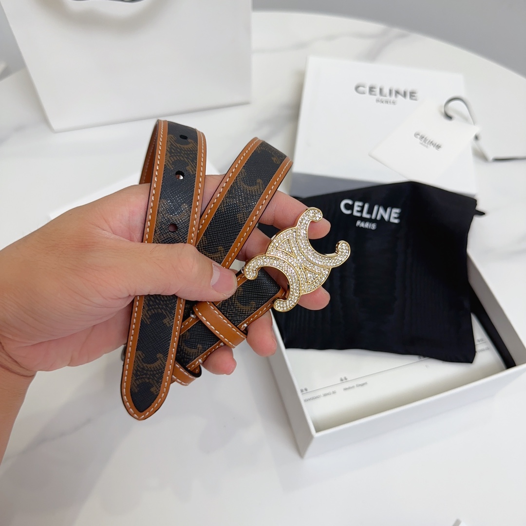 BAGSAAA Ce1i*e MEDIUM WITH BORDER TRIOMPHE BELT IN CRYSTAL TRIOMPHE CANVAS AND CALFSKIN TAN