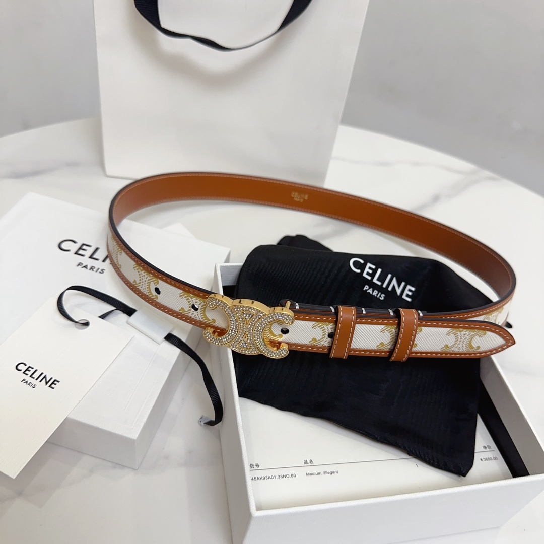 BAGSAAA Ce1i*e MEDIUM WITH BORDER TRIOMPHE BELT IN CRYSTAL TRIOMPHE CANVAS AND CALFSKIN WHITE 2.5CM