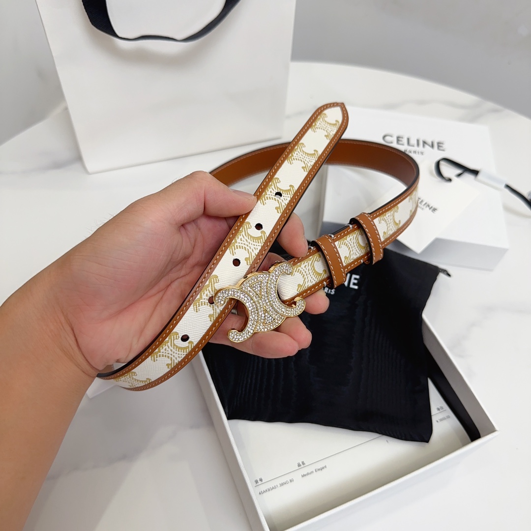 BAGSAAA Ce1i*e MEDIUM WITH BORDER TRIOMPHE BELT IN CRYSTAL TRIOMPHE CANVAS AND CALFSKIN WHITE 2.5CM