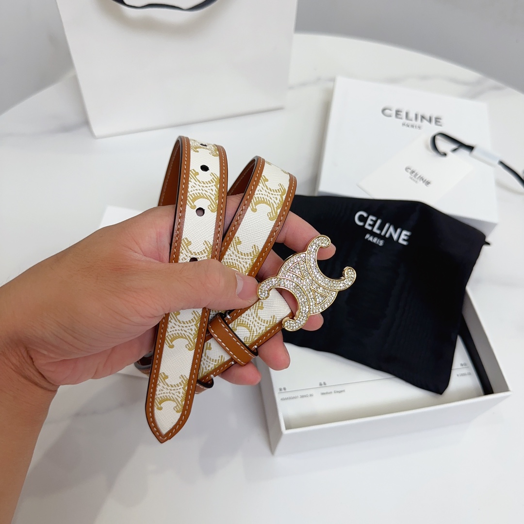 BAGSAAA Ce1i*e MEDIUM WITH BORDER TRIOMPHE BELT IN CRYSTAL TRIOMPHE CANVAS AND CALFSKIN WHITE 2.5CM