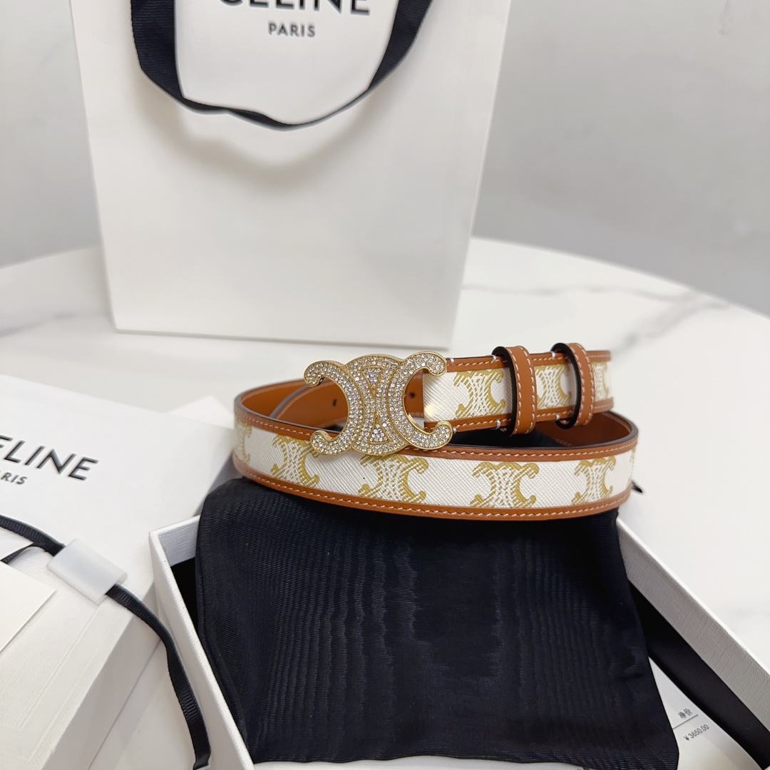 BAGSAAA Ce1i*e MEDIUM WITH BORDER TRIOMPHE BELT IN CRYSTAL TRIOMPHE CANVAS AND CALFSKIN WHITE 2.5CM