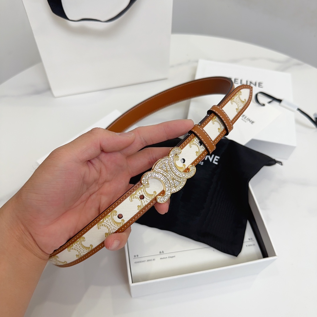 BAGSAAA Ce1i*e MEDIUM WITH BORDER TRIOMPHE BELT IN CRYSTAL TRIOMPHE CANVAS AND CALFSKIN WHITE 2.5CM