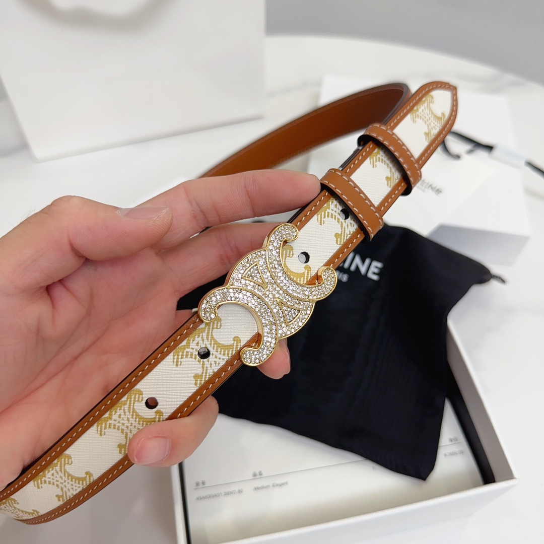 BAGSAAA Ce1i*e MEDIUM WITH BORDER TRIOMPHE BELT IN CRYSTAL TRIOMPHE CANVAS AND CALFSKIN WHITE 2.5CM
