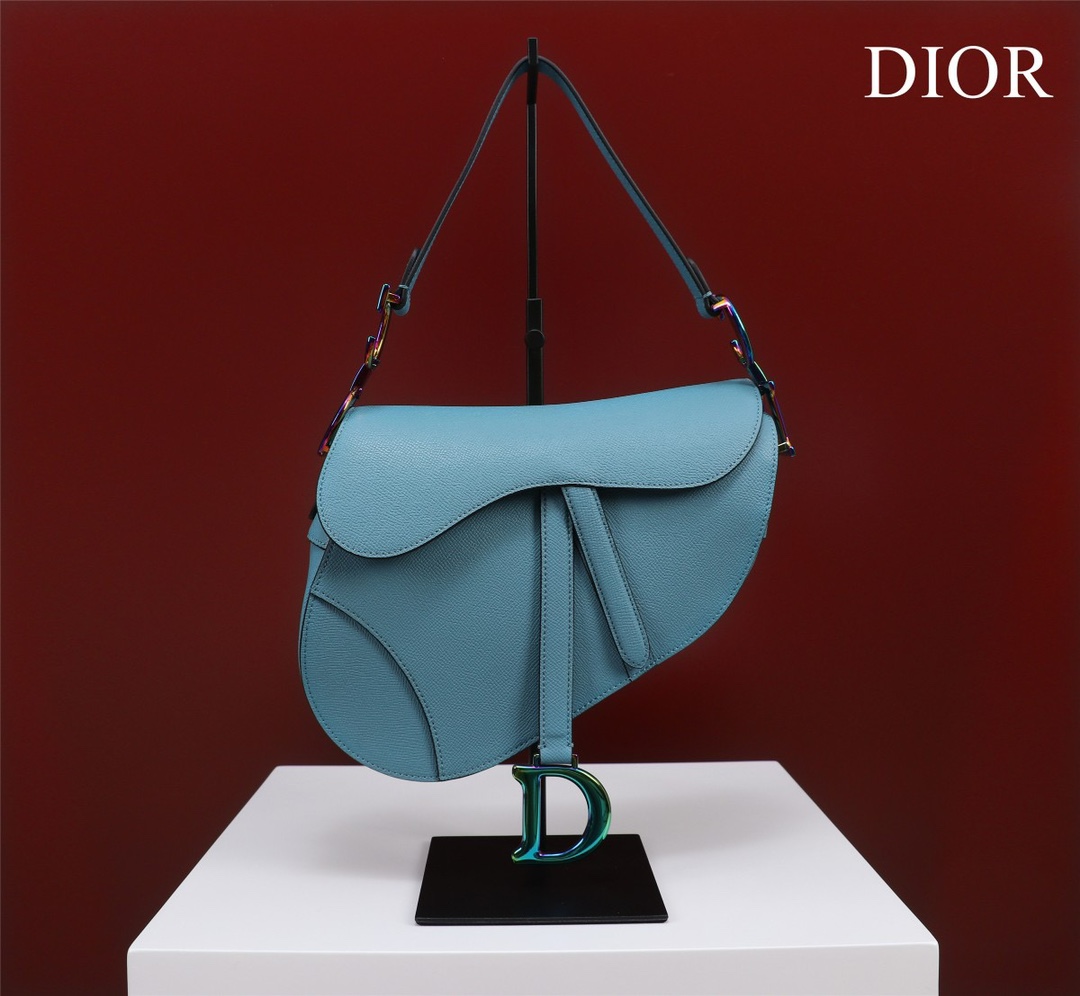 Bagsaaa D10r Saddle Blue Leather and coloful harrdware - 25.5 x 20 x 6.5 cm 