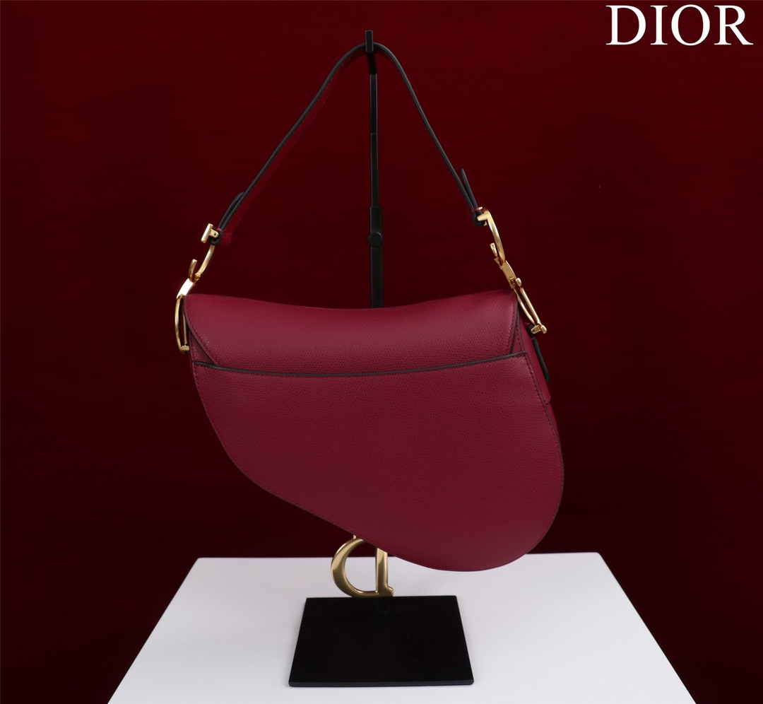 Bagsaaa D10r Saddle Burrgundy Leather and coloful harrdware - 25.5 x 20 x 6.5 cm