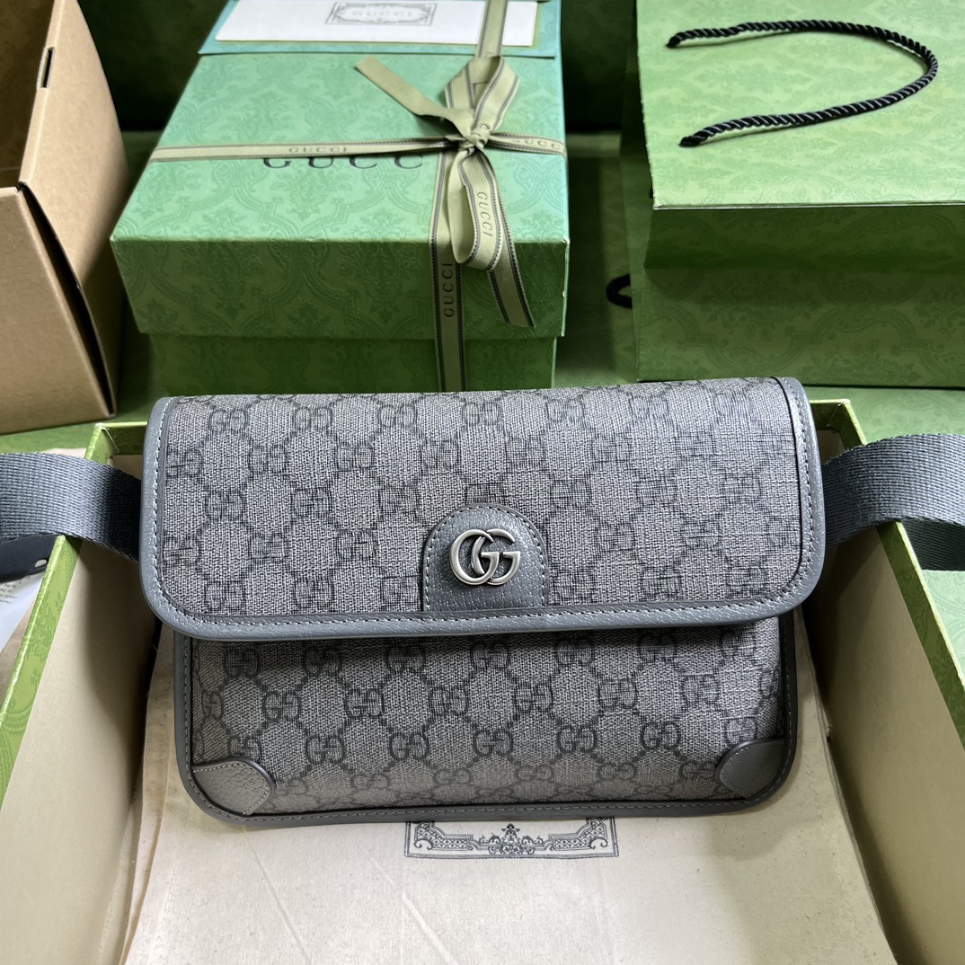 Bagsaaa Gvc*1 Ophidia GG grey belt bag - 24x17x4cm