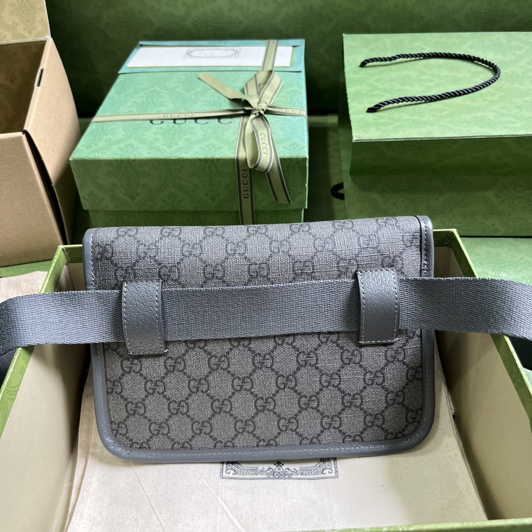 Bagsaaa Gvc*1 Ophidia GG grey belt bag - 24x17x4cm