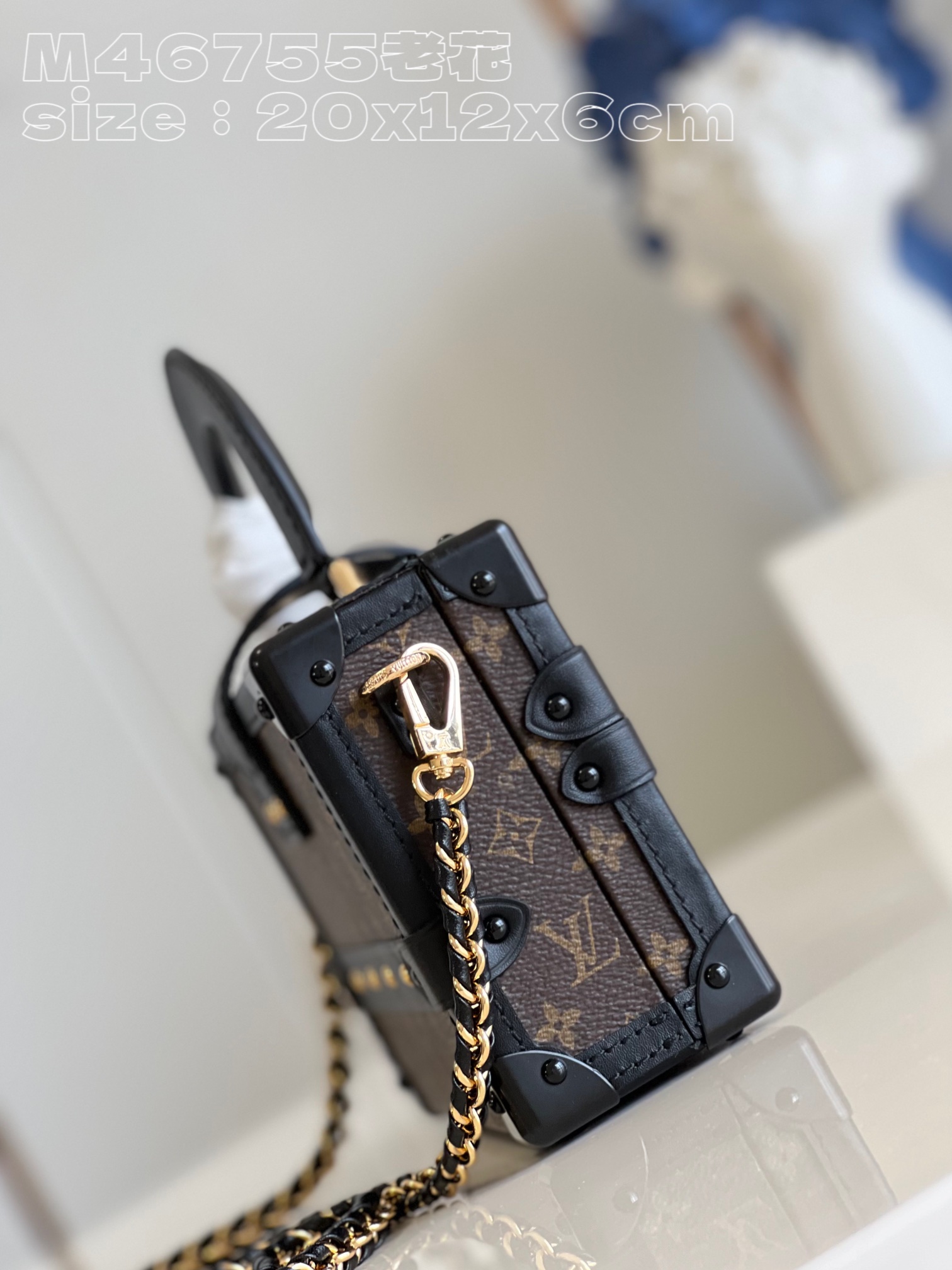 Bagsaaa L0vis Vvtt0n Petite Malle Capitale bag