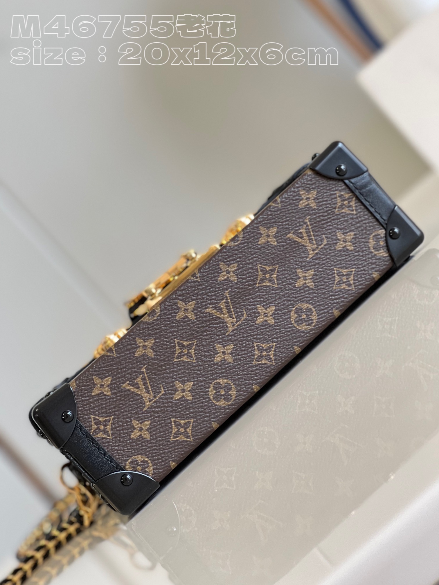 Bagsaaa L0vis Vvtt0n Petite Malle Capitale bag