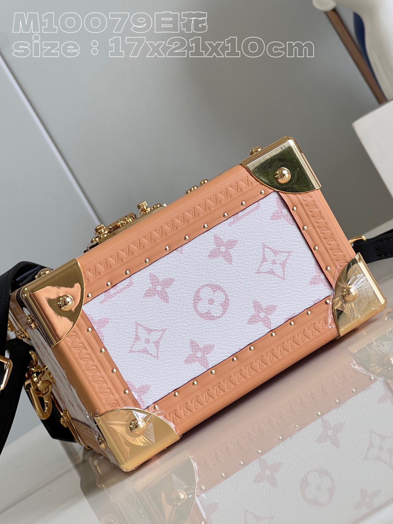 Bagsaaa L0vis Vvtt0n Camera Box White