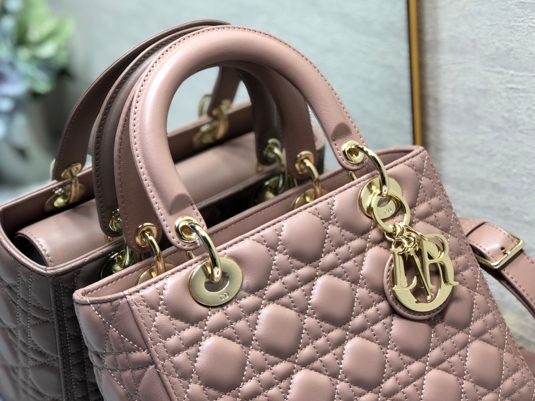 Bagsaaa D10r Lady Medium Nude Bag 24cm