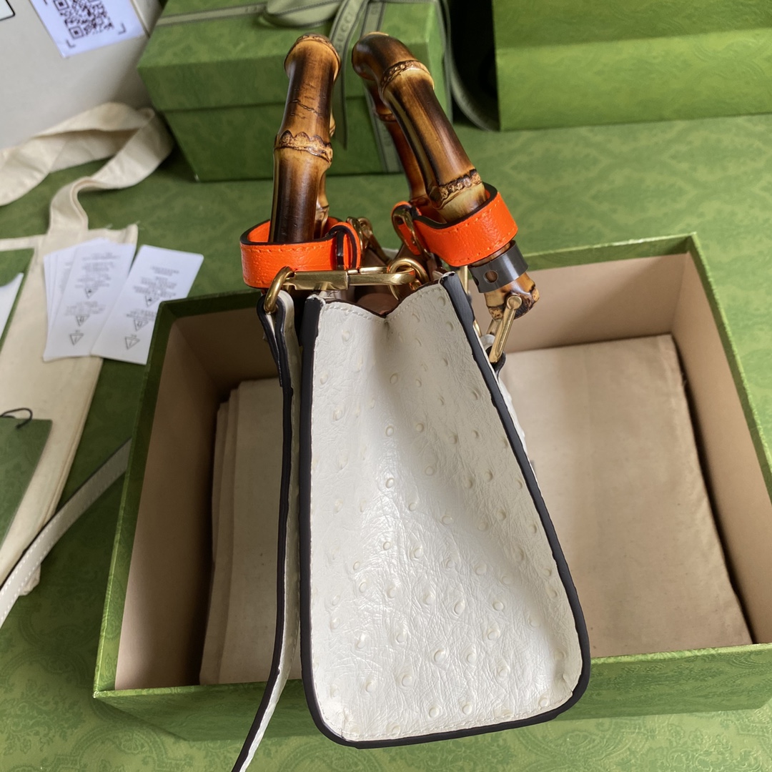 Bagsaaa Gvc*1 Mini Diana Ostrick White Leather 20x15.5x10cm