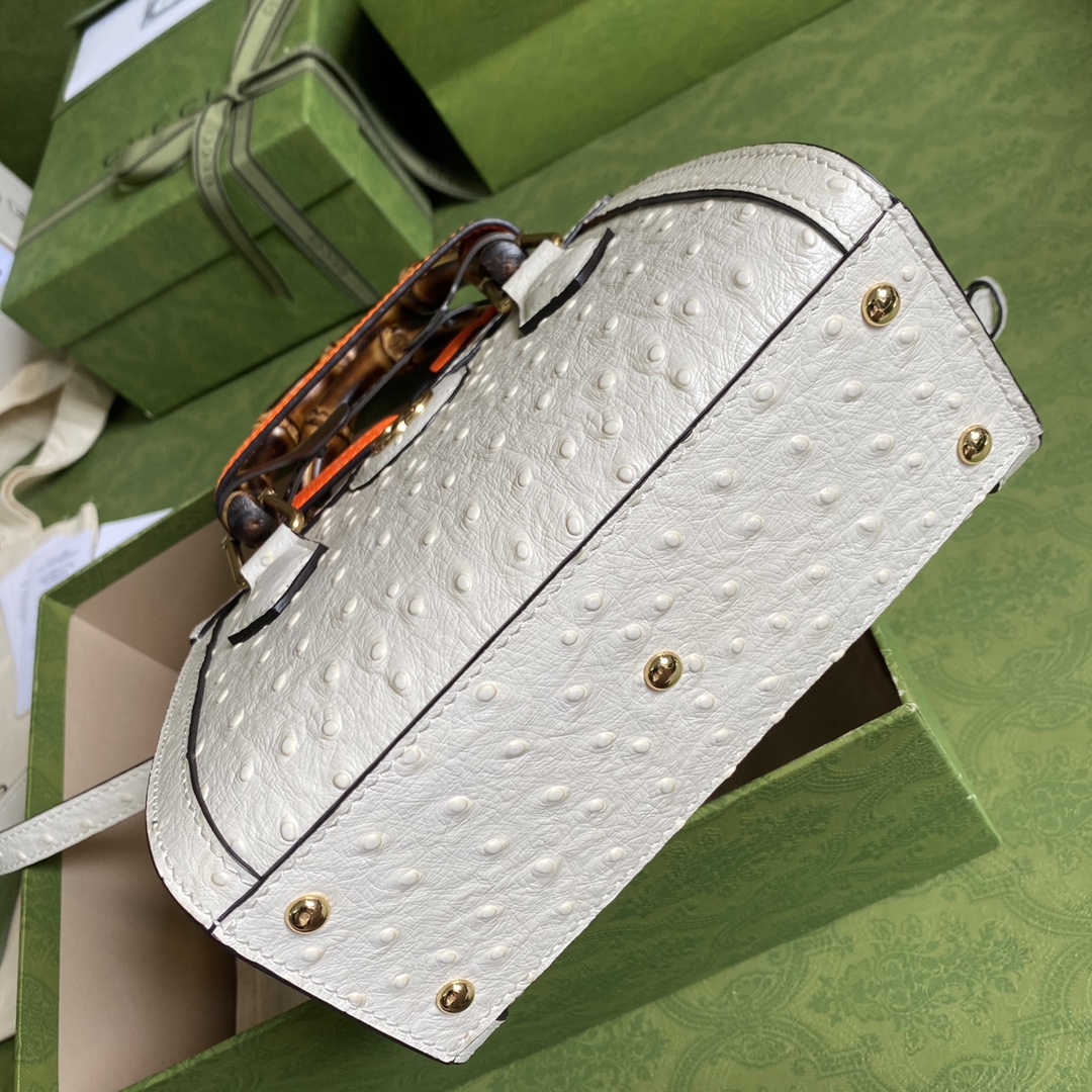 Bagsaaa Gvc*1 Mini Diana Ostrick White Leather 20x15.5x10cm