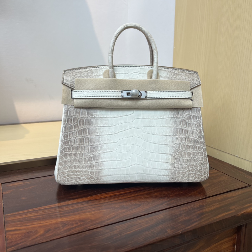 Bagsaaa H**me5 Birkin 25 White Himalaya Crocodile
