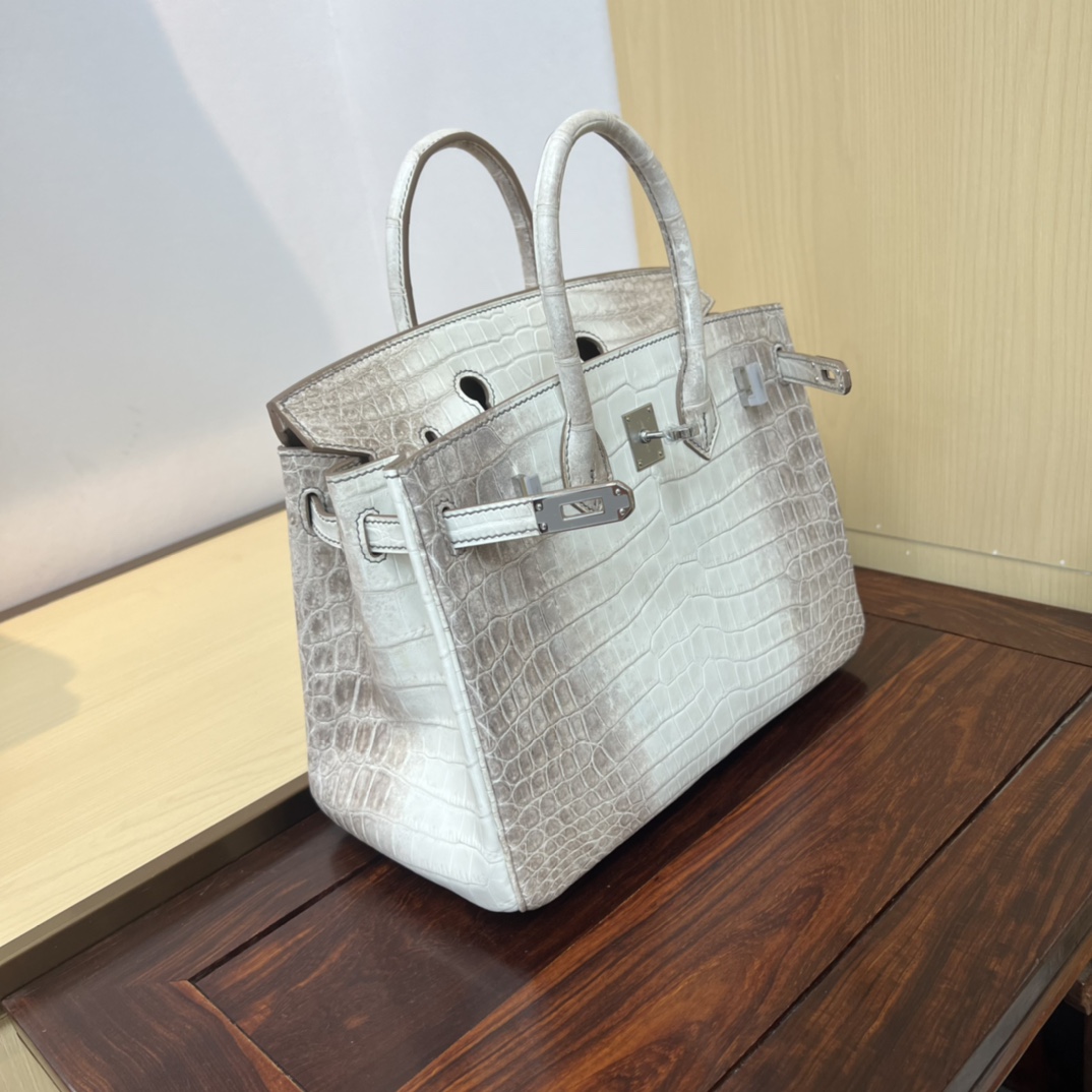Bagsaaa H**me5 Birkin 25 White Himalaya Crocodile