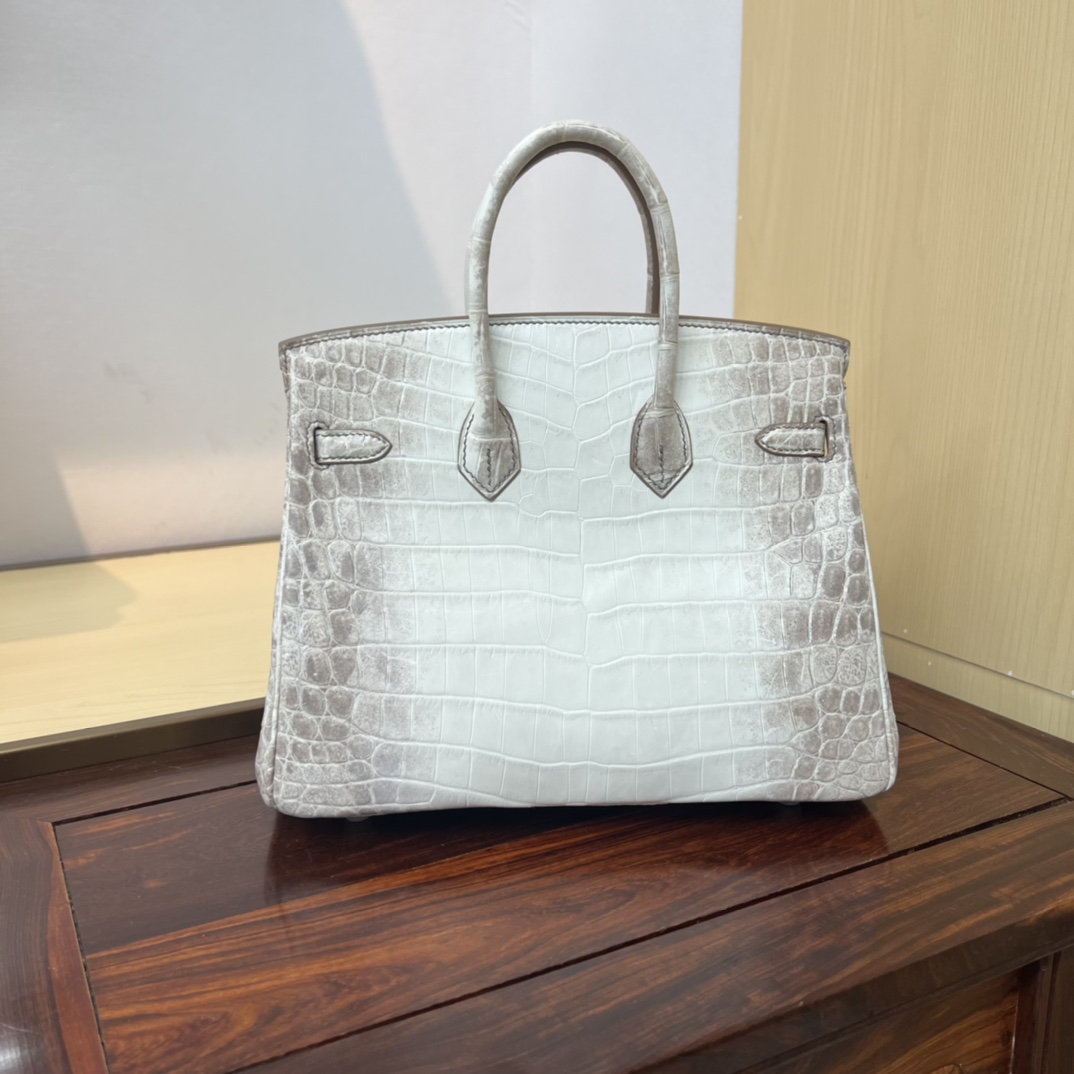 Bagsaaa H**me5 Birkin 25 White Himalaya Crocodile