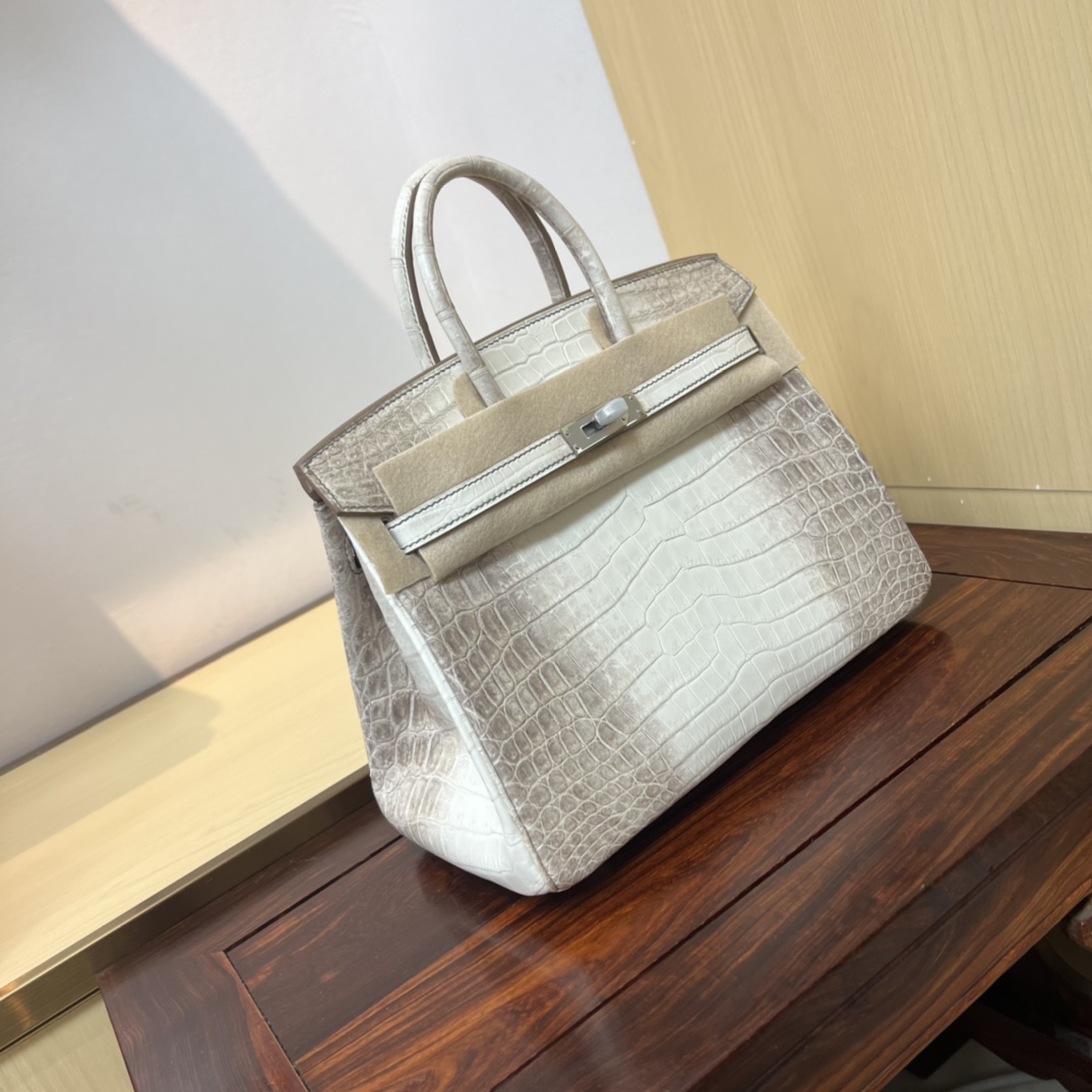Bagsaaa H**me5 Birkin 25 White Himalaya Crocodile