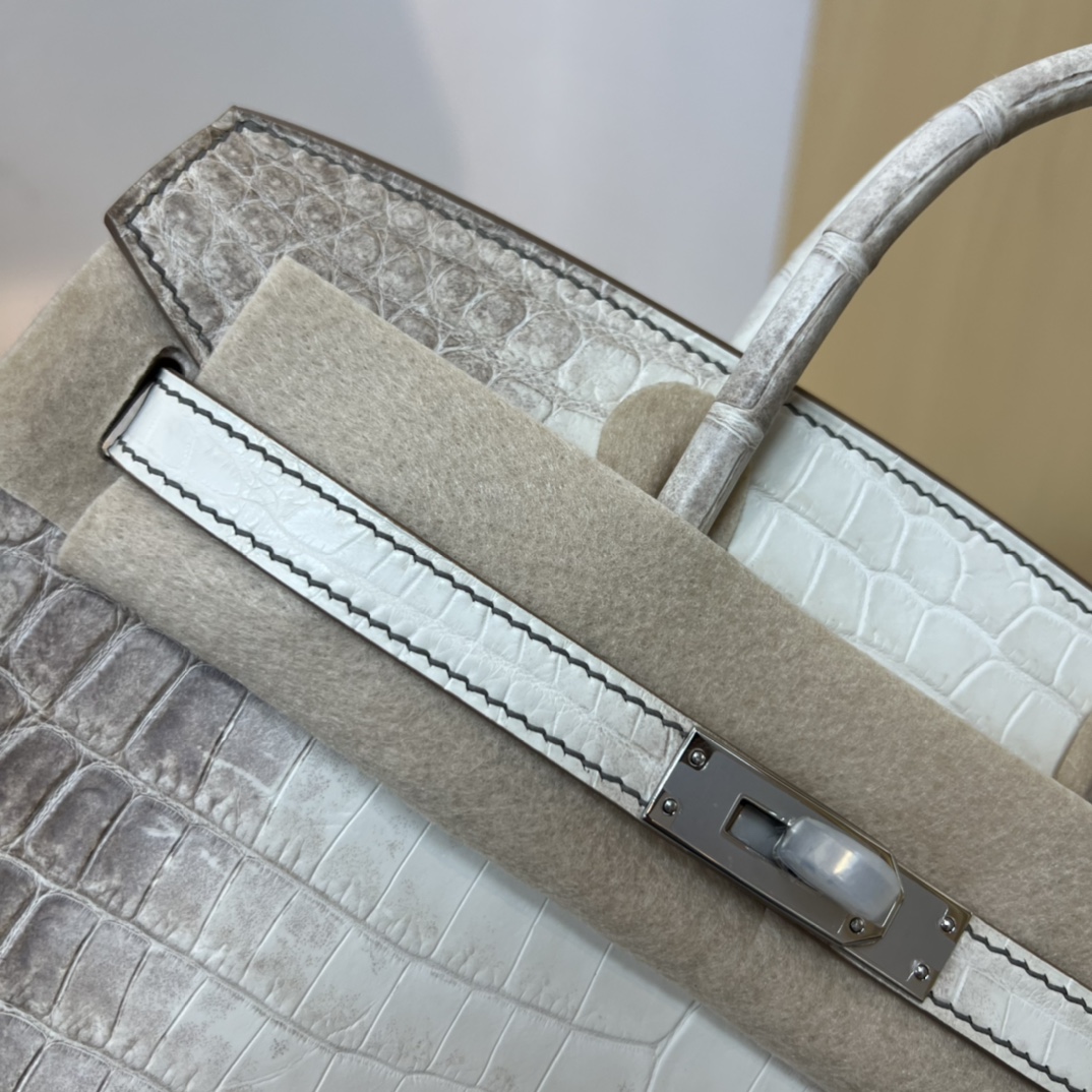 Bagsaaa H**me5 Birkin 25 White Himalaya Crocodile