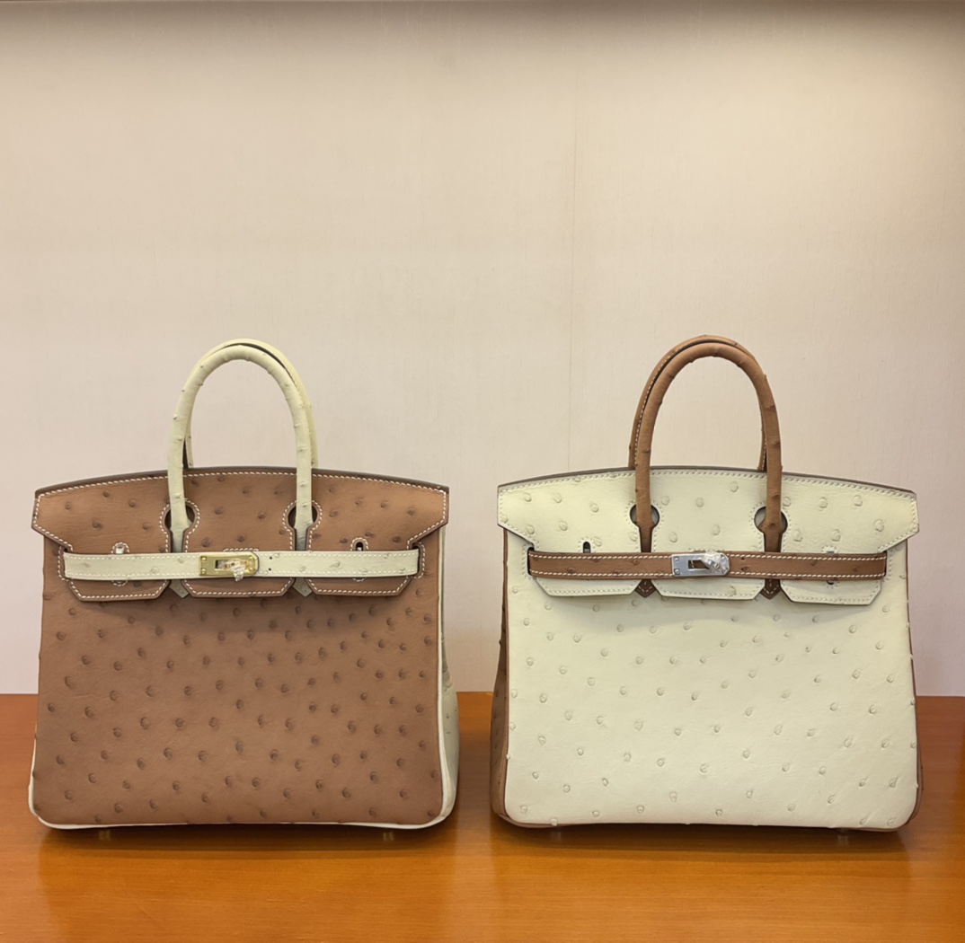 Bagsaaa H**me5 Birkin 25 Ostrich Leather