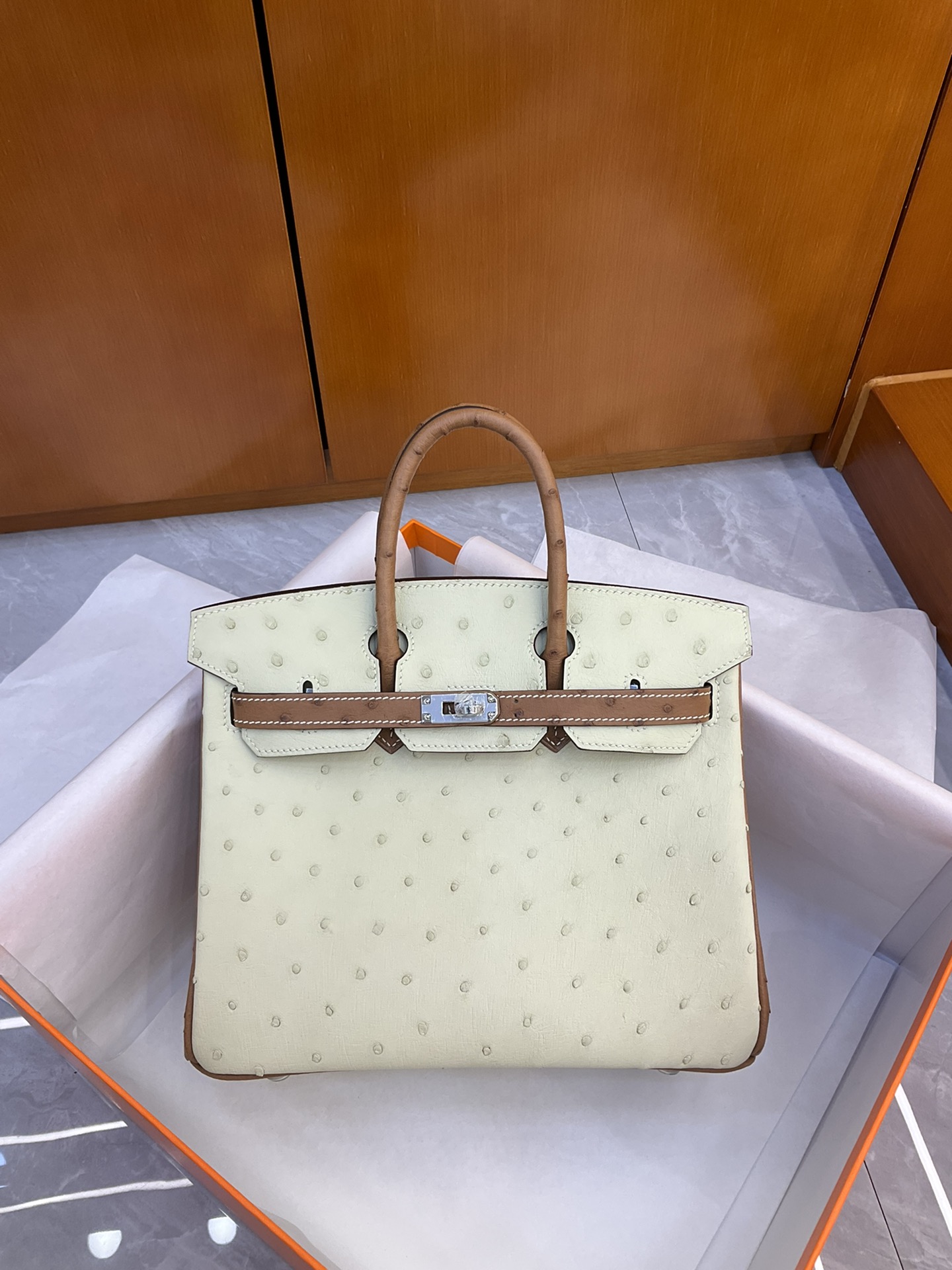 Bagsaaa H**me5 Birkin 25 Ostrich Leather