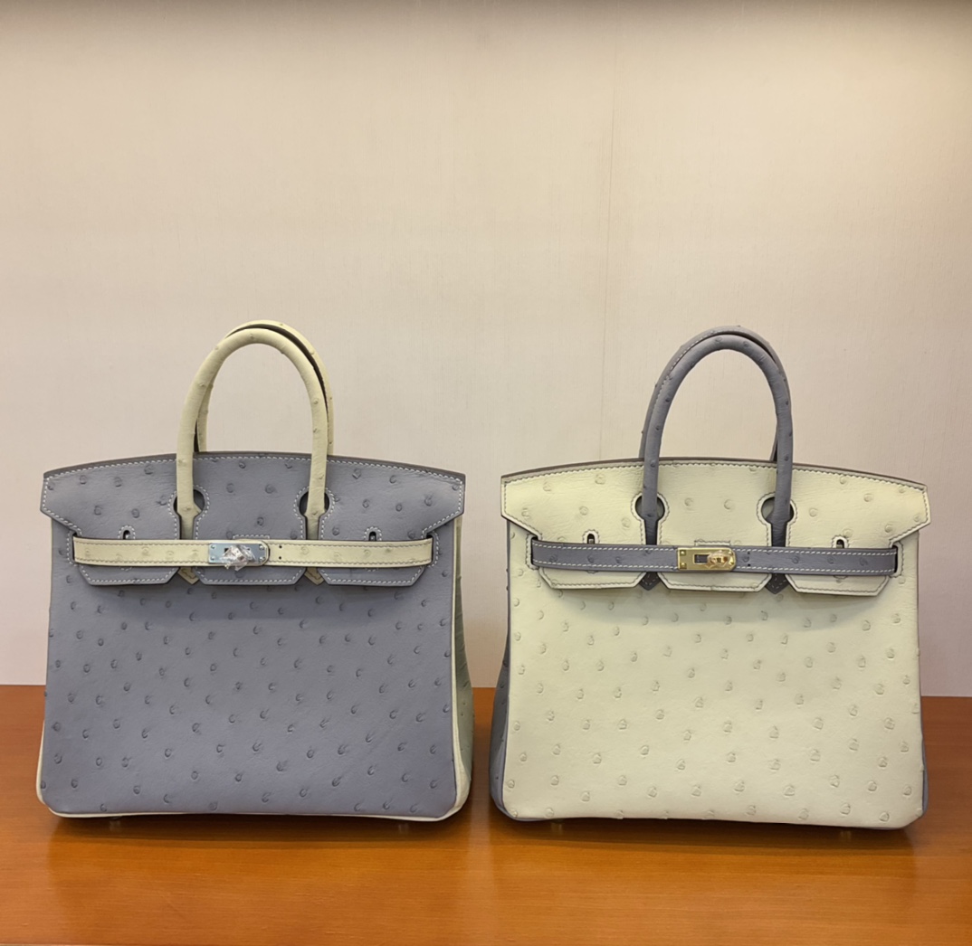 Bagsaaa H**me5 Birkin 25 Ostrich Leather Grey and White