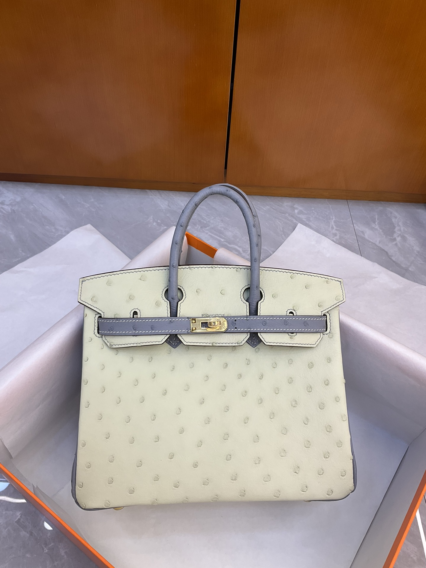 Bagsaaa H**me5 Birkin 25 Ostrich Leather Grey and White