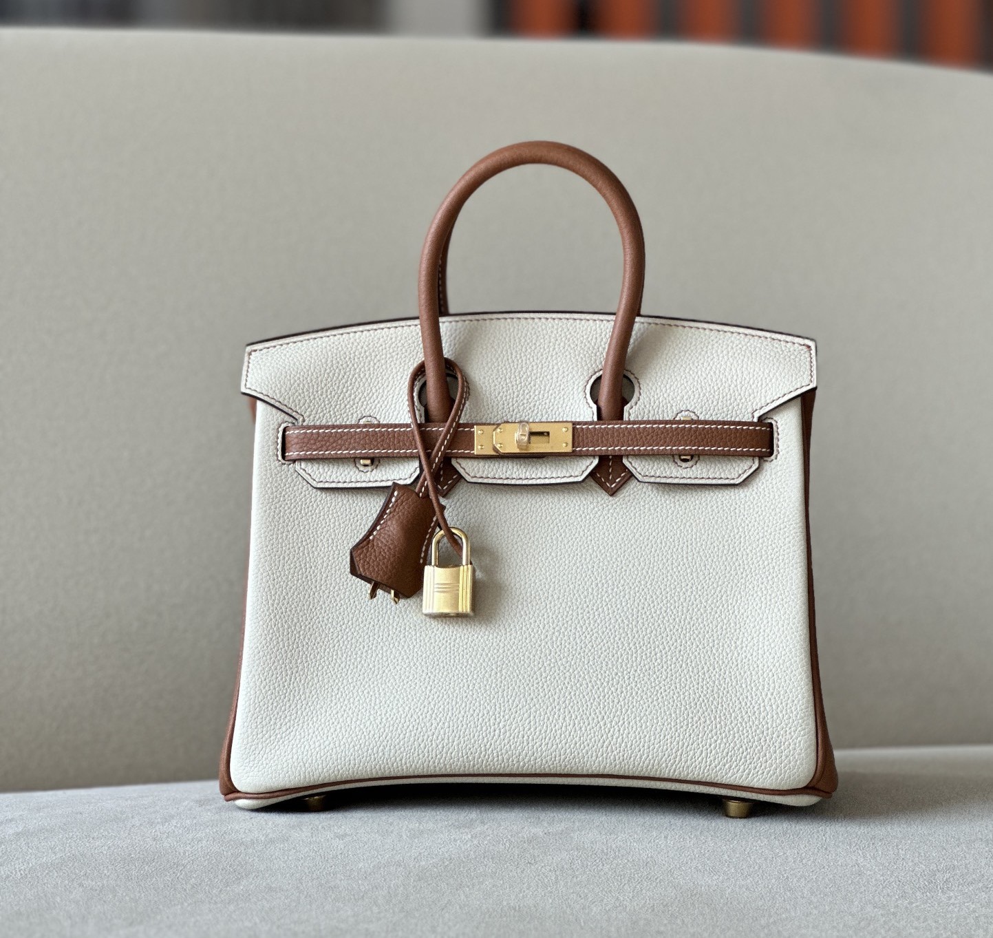 Bagsaaa H**me5 Birkin 25 in Togo Leather Brown and White