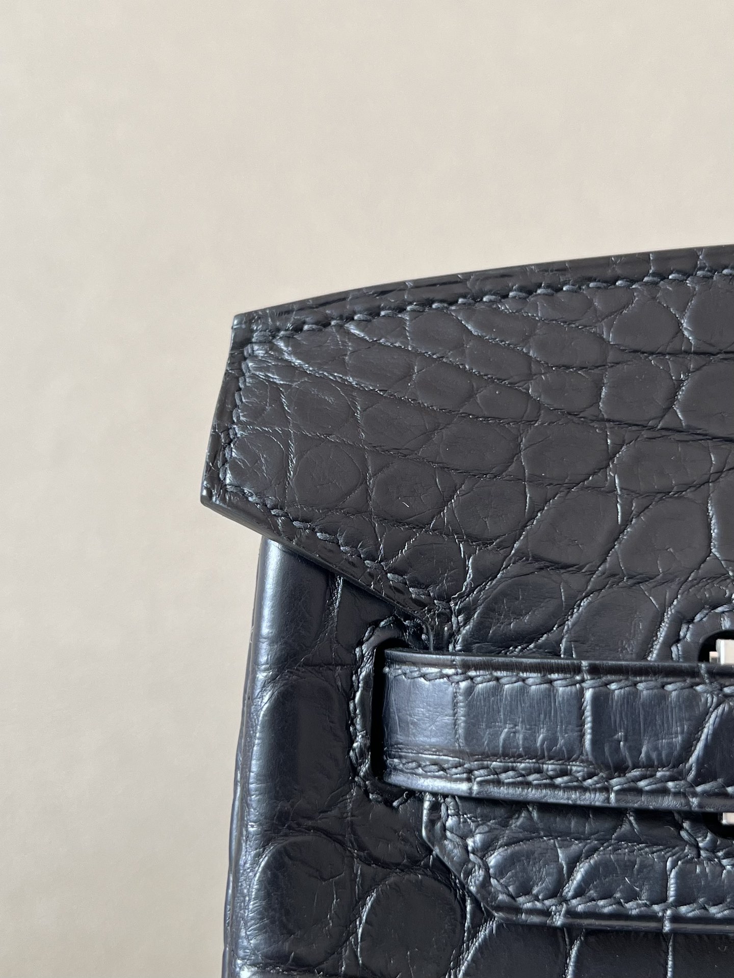 Bagsaaa H**me5 Birkin 25 Matte Black Crocodile