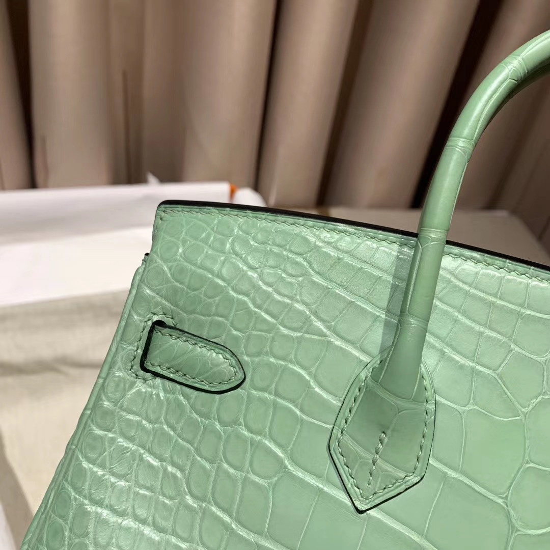 Bagsaaa H**me5 Birkin 25 Matte Green Crocodile