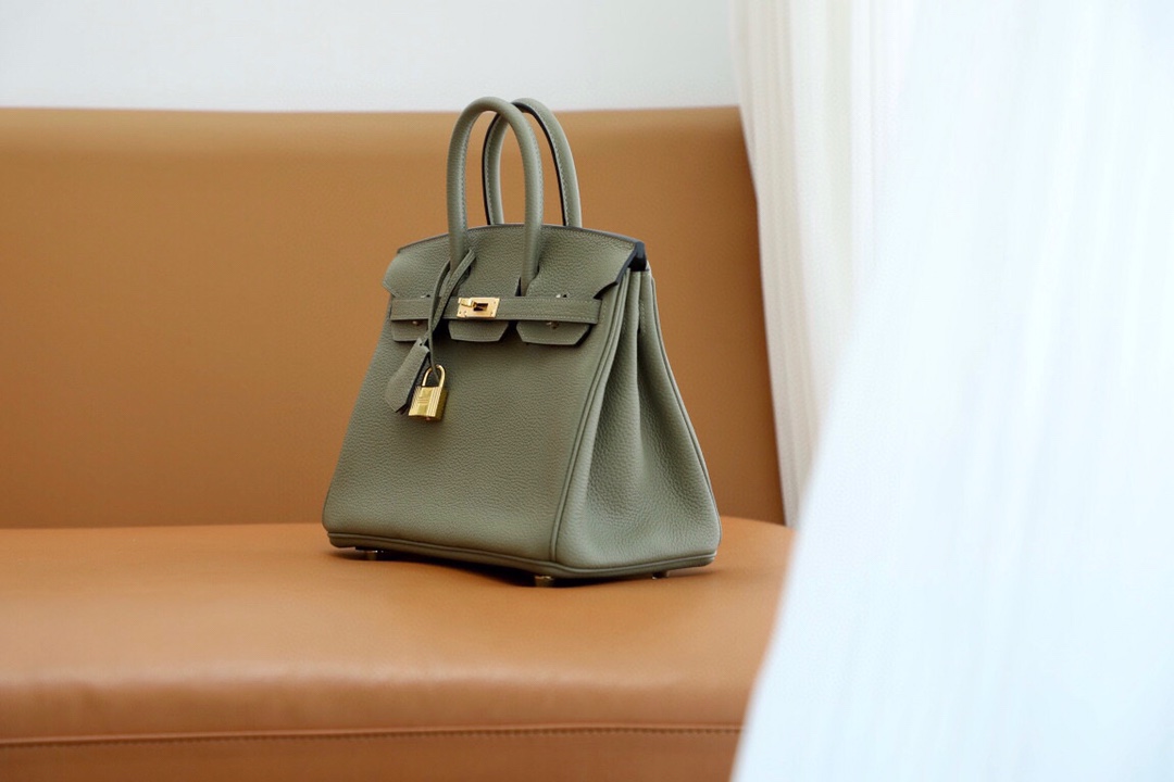 Bagsaaa H**me5 Birkin 25 in Togo Leather Green