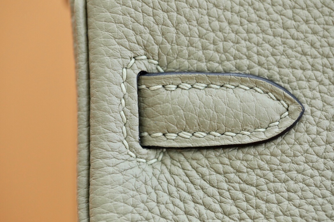 Bagsaaa H**me5 Birkin 25 in Togo Leather Green