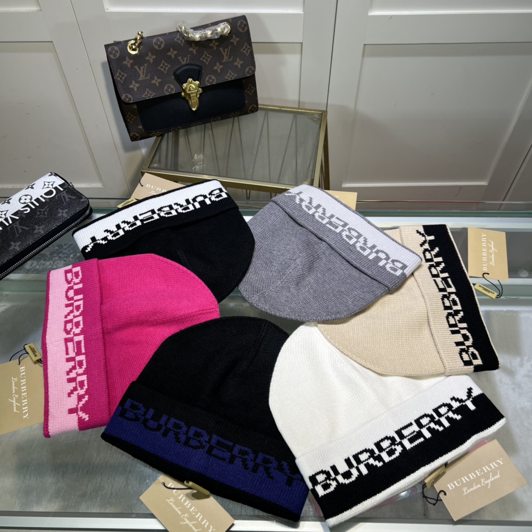 Bagsaaa Bv*b*rry Beanie wool hat 6 colors