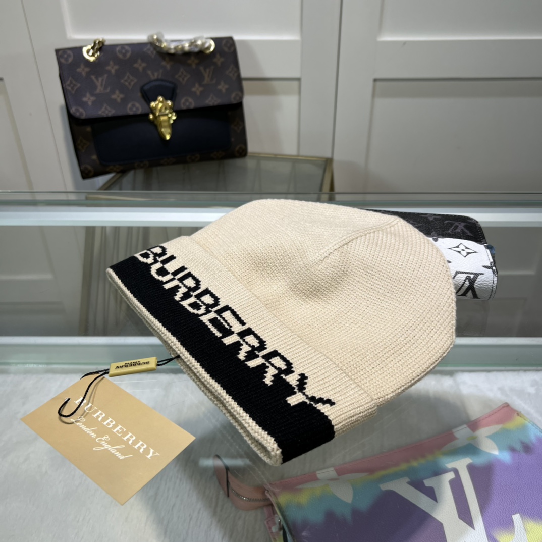 Bagsaaa Bv*b*rry Beanie wool hat 6 colors