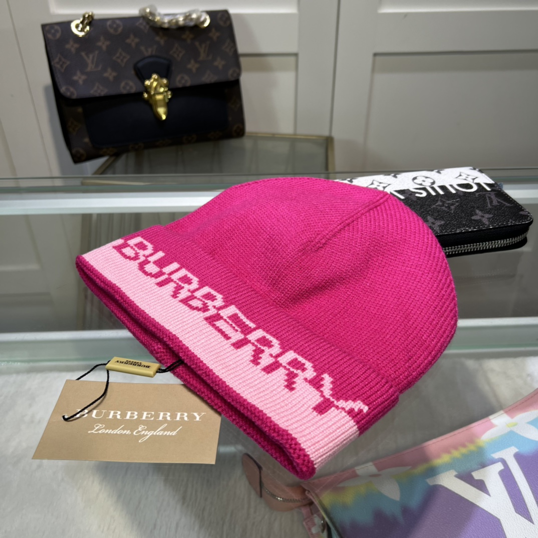 Bagsaaa Bv*b*rry Beanie wool hat 6 colors