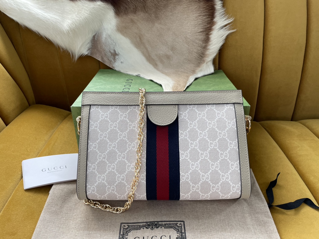 Gvc*1 Ophidia GG small shoulder bag 26/17/8cm