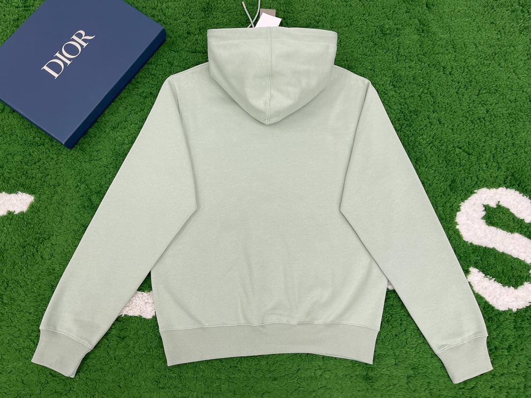 Bagsaaa D10r CD Hoodie