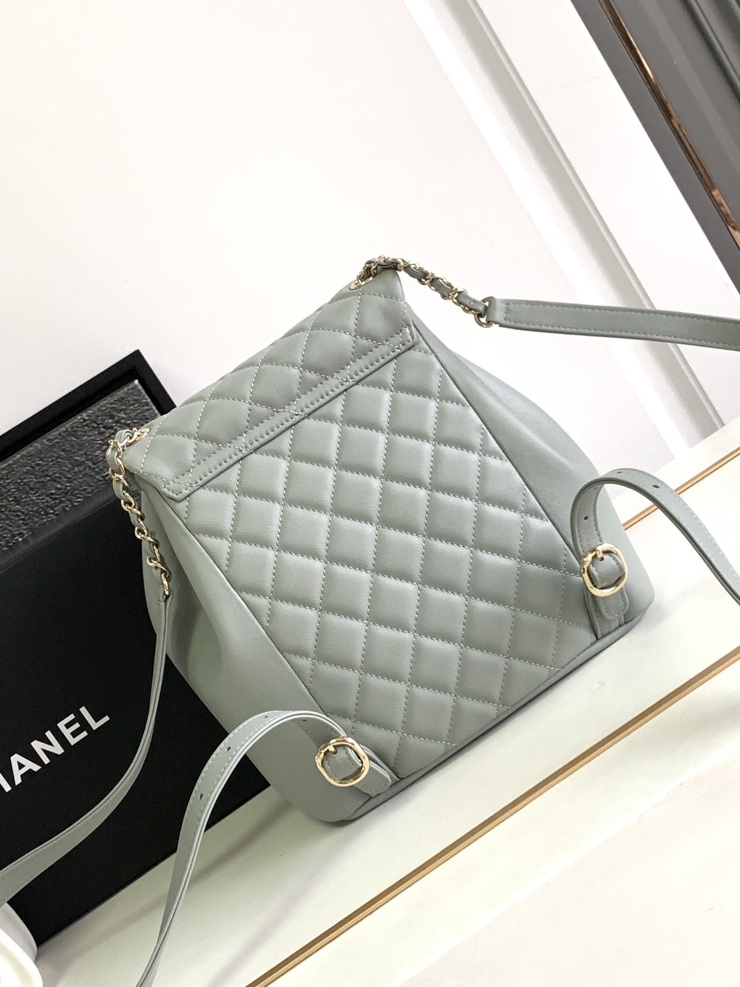 Bagsaaa Ch**el Duma Backpack Grey