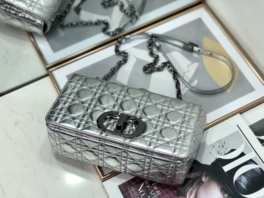 Bagsaaa D10r Medium Caro Silver Cannage - 25.5 x 15.5 x 8 cm