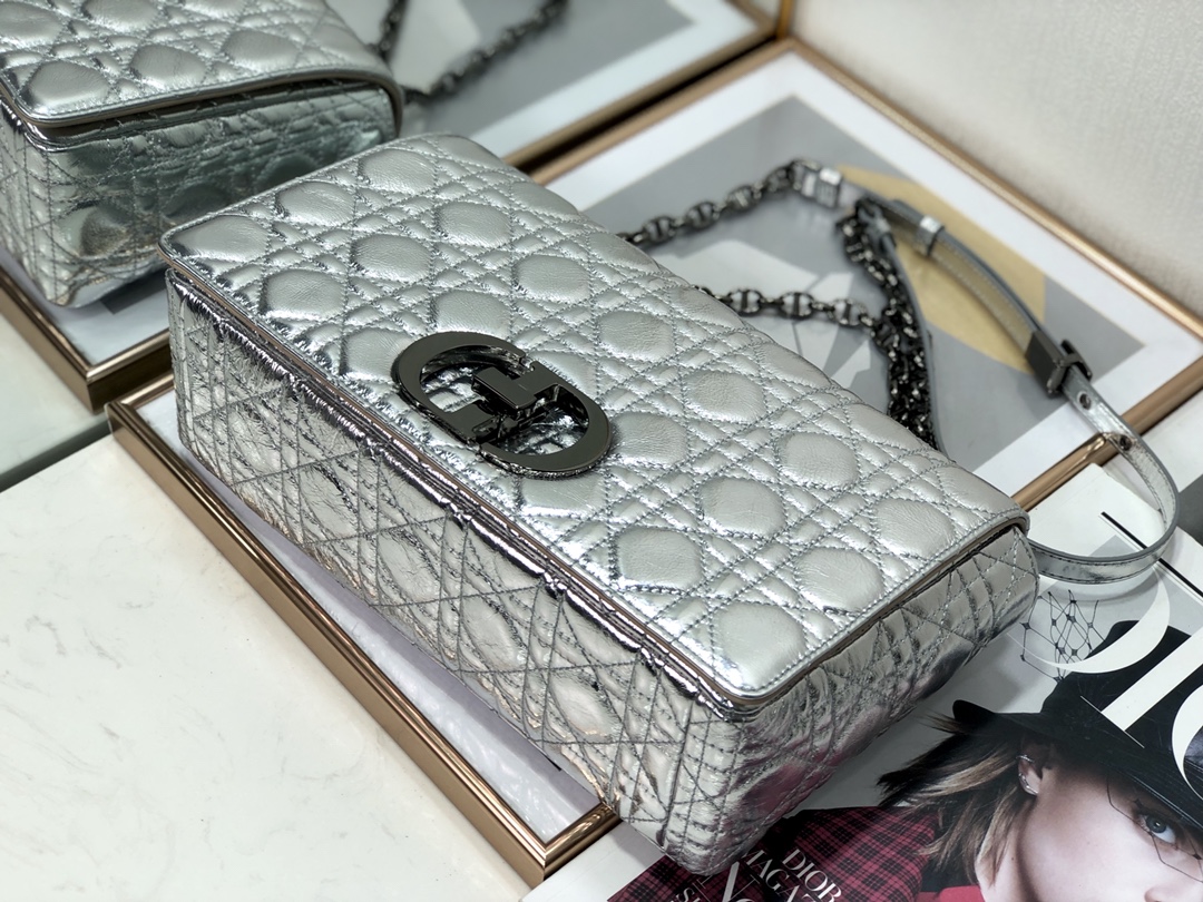 Bagsaaa D10r Large Caro Silver Cannage - 28x17x9cm