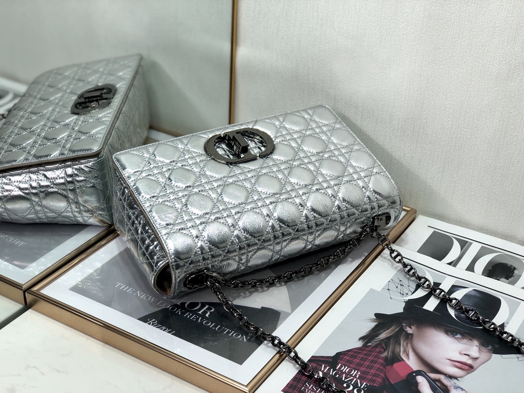 Bagsaaa D10r Large Caro Silver Cannage - 28x17x9cm