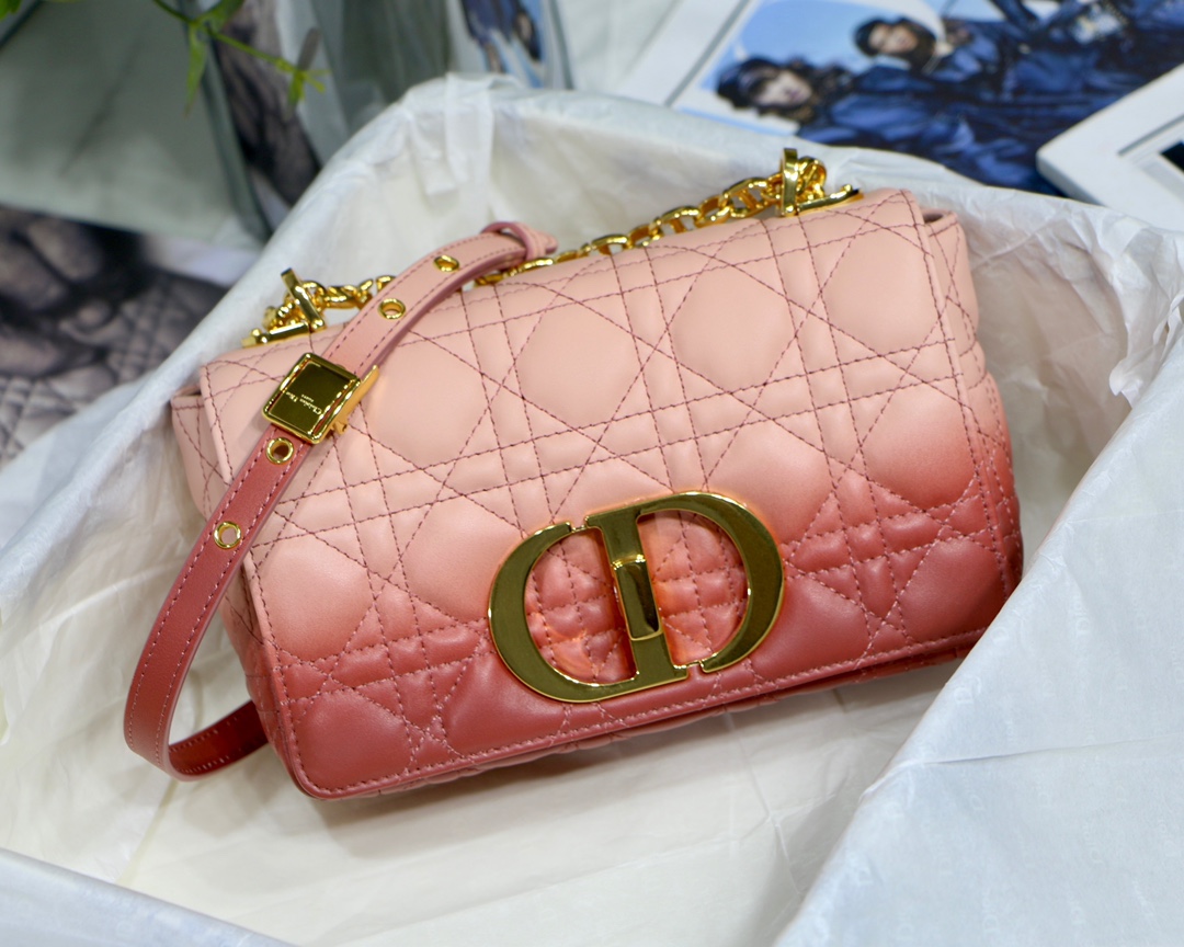 Bagsaaa D10r Small Caro Pink - 20 x 12 x 7 cm