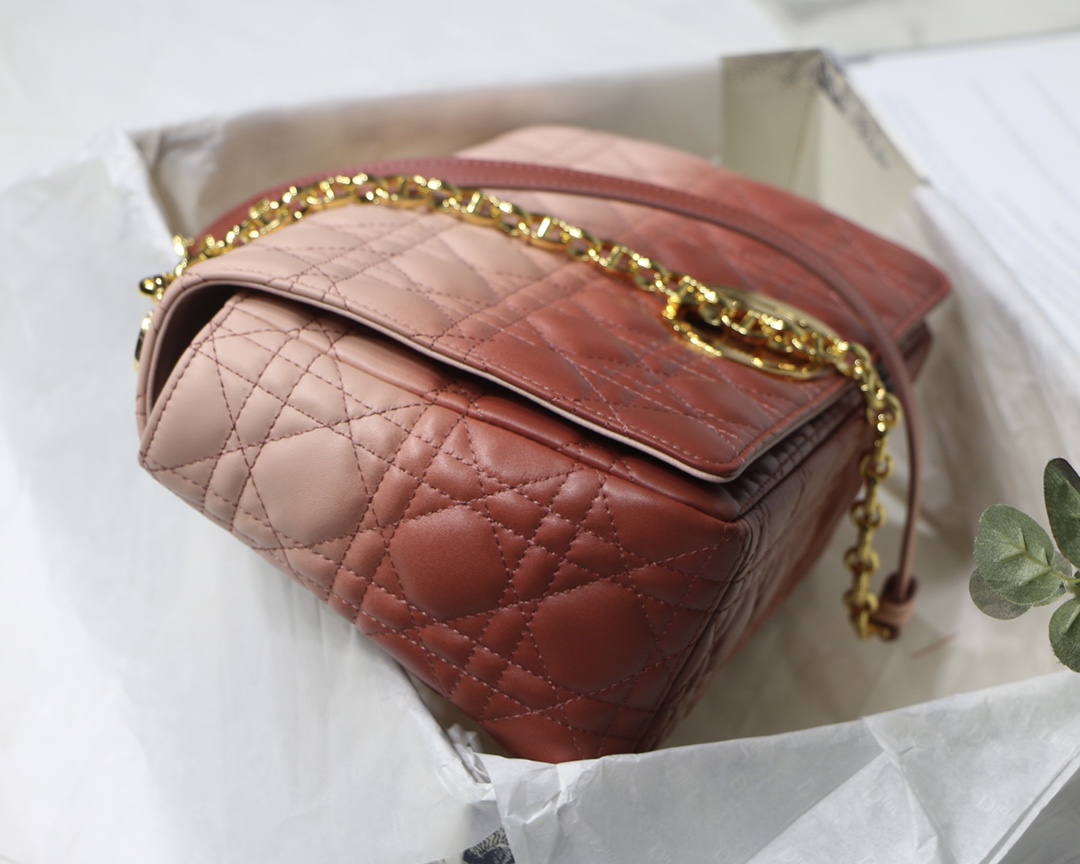 Bagsaaa D10r Large Caro Pink - 28x17x9cm