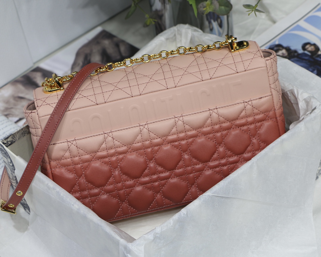 Bagsaaa D10r Large Caro Pink - 28x17x9cm