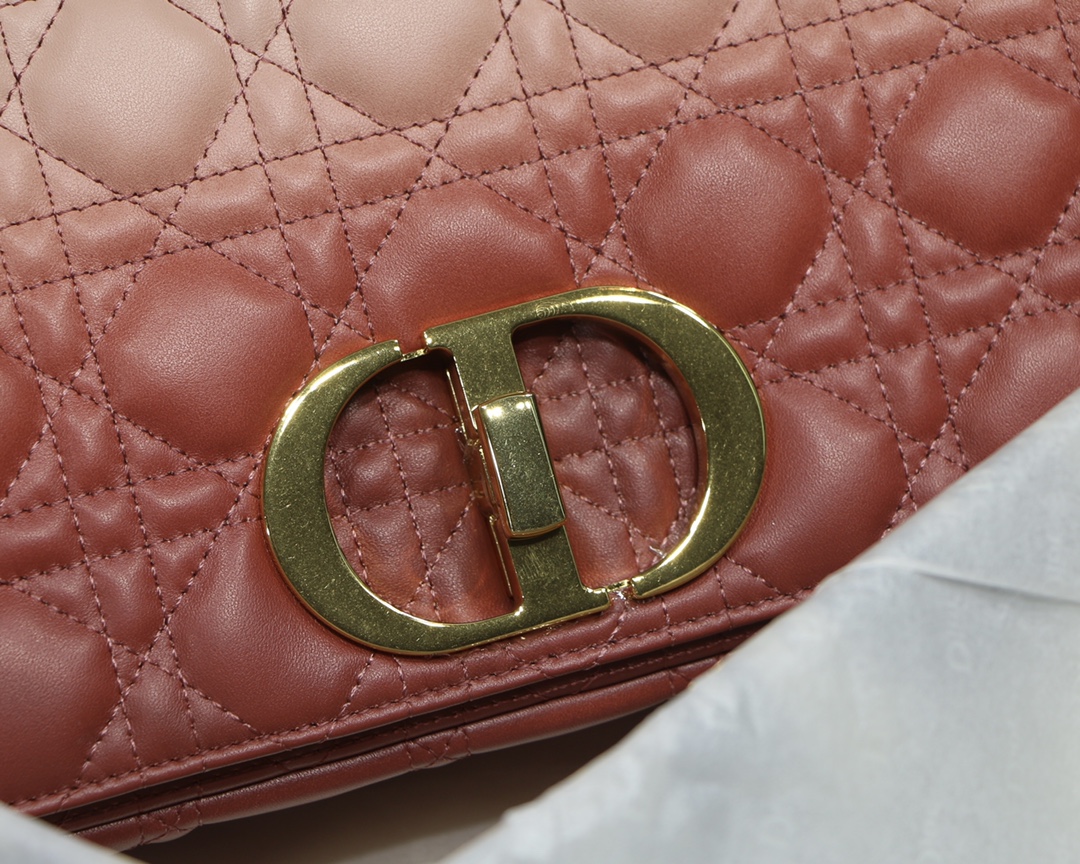 Bagsaaa D10r Large Caro Pink - 28x17x9cm