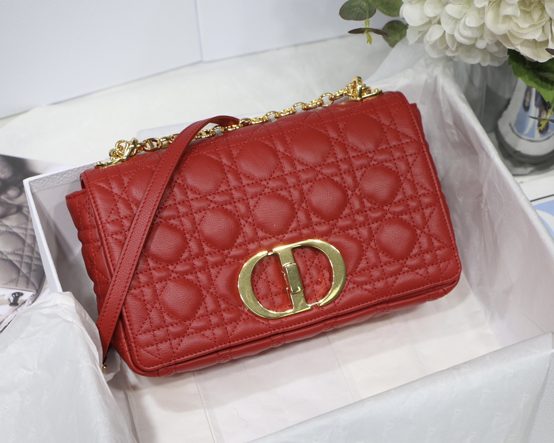 Bagsaaa D10r Medium Caro Red - 25.5 x 15.5 x 8 cm