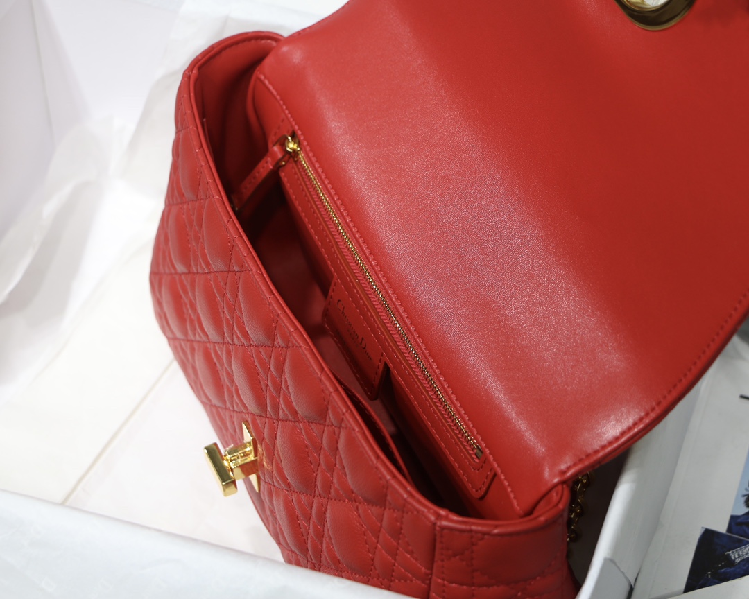 Bagsaaa D10r Medium Caro Red - 25.5 x 15.5 x 8 cm