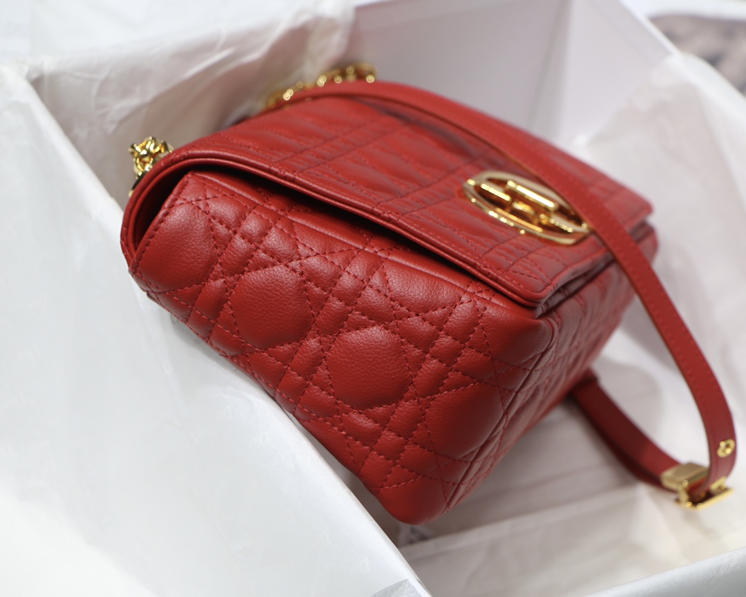 Bagsaaa D10r Medium Caro Red - 25.5 x 15.5 x 8 cm
